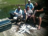 Lake Texoma Striper Fishing Photon
