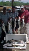 Striper Bass fishing with Cross Creek Guide Service